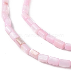 Natural Freshwater Shell Dyed Beads Strands&nbsp;SHEL-M018-12-09