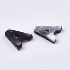 Natural Black Lip Shell Beads&nbsp;SSHEL-S265-001-M