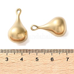 304 Stainless Steel Pendants&nbsp;STAS-L022-552G