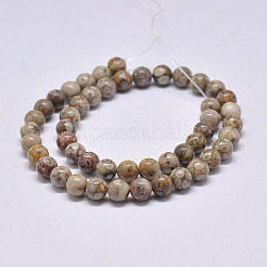Natural Maifanite/Maifan Stone Beads Strands&nbsp;G-F353-4mm