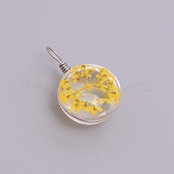 Transparent Glass Pendants&nbsp;GLAA-TAC0003-06E