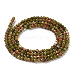 Natural Unakite Beads Strands&nbsp;G-Q002-B01-01