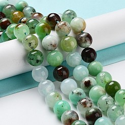 Natural Chrysoprase Beads Strands&nbsp;G-G057-A01-01