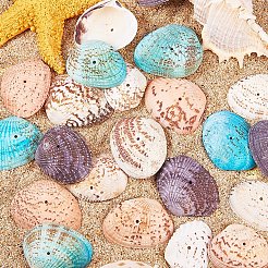 Dyed Natural Shell Beads&nbsp;BSHE-PH0003-02
