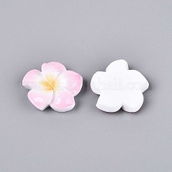 Plumeria Flower Opaque Resin Cabochons&nbsp;CRES-T025-30M-01
