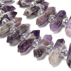 Natural Amethyst Double Terminated Point Beads Strands&nbsp;G-H069-B16-01