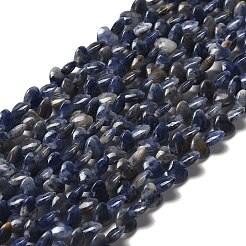 Natural Sodalite Beads Strands&nbsp;G-P575-C15-6mm