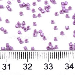 FGB 11/0 Grade A Baking Paint Glass Seed Beads&nbsp;SEED-S030-1043