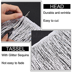 5M Sparkle Polyester Tassel Lace Trim&nbsp;OCOR-OC0001-38A