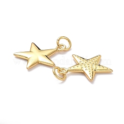 Brass Pendants&nbsp;KK-L206-016G
