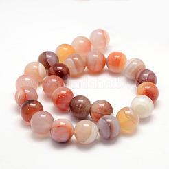 Natural Sardonyx Beads Strands&nbsp;G-K155-D-14mm-01