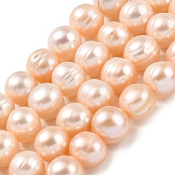 Natural Cultured Freshwater Pearl Beads Strands&nbsp;PEAR-I007-07T-03