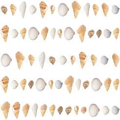 150G 5 Styles Natural Mixed Shell Beads&nbsp;SSHEL-SC0001-51