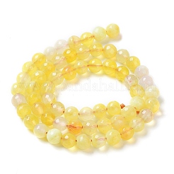 Natural Fire Crackle Agate Bead Strands&nbsp;G-K166-07F-6mm-07