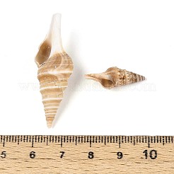 Natural Spiral Shell Beads&nbsp;SSHEL-N040-03