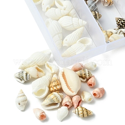 6 Styles Natural Cowrie Shell Pendants and Shell Beads Kits&nbsp;DIY-FS0006-94