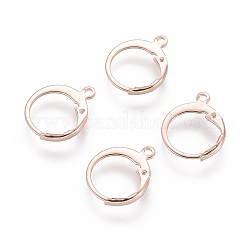 304 Stainless Steel Leverback Earring Findings&nbsp;STAS-D448-041RG