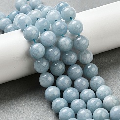 Dyed Natural Malaysia Jade Beads Strands&nbsp;X-G-G021-02C-20