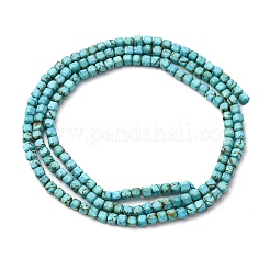 Natural Howlite Beads Strands&nbsp;G-B142-C04-2x2mm