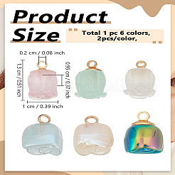 12Pcs 6 Styles DIY Jewelry Making Findings Kits&nbsp;DIY-LP0004-12