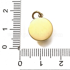304 Stainless Steel Charms&nbsp;STAS-Q337-20G