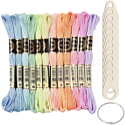 12 Skeins 6-Ply Polyester Embroidery Floss&nbsp;OCOR-CY0002-75