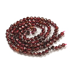 Natural Garnet Beads Strands&nbsp;G-I341-09C