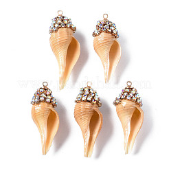 Natural Sea Shell Pendants&nbsp;SSHEL-S258-97