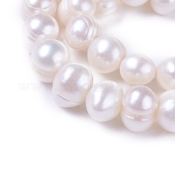 Natural Cultured Freshwater Pearl Beads Strands&nbsp;PEAR-L021-16-01A