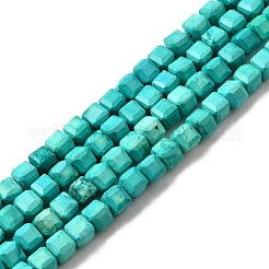 Synthetic Turquoise Beads Strands&nbsp;G-F797-A10-01