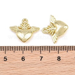 Alloy Charms&nbsp;AL-CBA415D-17G
