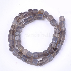 Natural Agate Beads Strands&nbsp;G-T121-04E