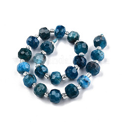 Natural Apatite Beads Strands&nbsp;G-N327-08D