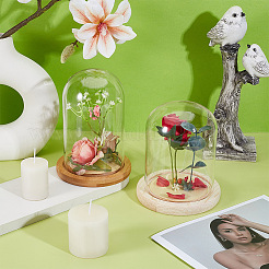 2Pcs 2 Styles Glass Dome Cover&nbsp;AJEW-NB0007-12