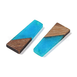 Resin & Wood Pendants&nbsp;WOOD-F015-04G