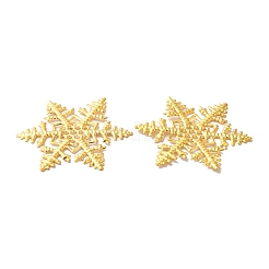 Iron Filigree Joiners&nbsp;FIND-B020-10G