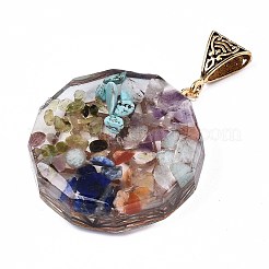 Transparent Epoxy Resin Alchemy Pendants&nbsp;LS-RESI-T049-09