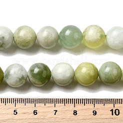 Natural New Jade Beads Strands&nbsp;G-K340-A01-12mm
