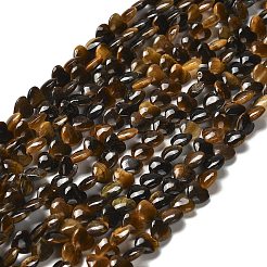 Natural Tiger Eye Beads Strands&nbsp;G-P575-C10-6mm