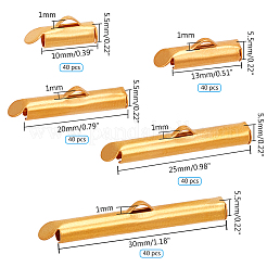 Iron Slide On End Clasp Tubes&nbsp;IFIN-PH0024-16G