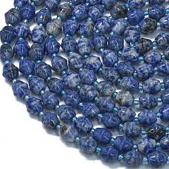 Natural Blue Spot Jasper Beads Strands&nbsp;G-K389-D15-01