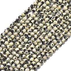 Natural Dalmatian Jasper Beads Strands&nbsp;G-A260-A10-01