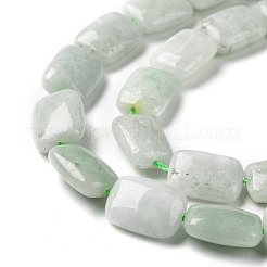 Natural Myanmar Jade/Burmese Jade Beads Strands&nbsp;G-C238-13