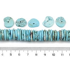 Dyed Natural Magnesite Beads Strands&nbsp;G-V003-01