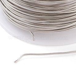 Non-Tarnish 316 Surgical Stainless Steel Wire&nbsp;TWIR-L004-01B-P