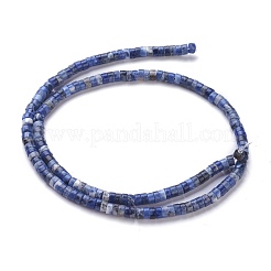 Natural Sodalite Beads Strands&nbsp;G-H230-10