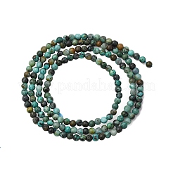 Natural African Turquoise(Jasper) Beads Strands&nbsp;G-Z116-A20-2mm