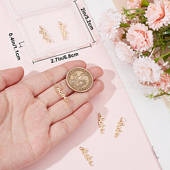 8pcs Brass Micro Pave Clear Cubic Zirconia Pendants&nbsp;ZIRC-BBC0003-07