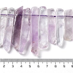 Natural Amethyst Beads Strands&nbsp;G-L551B-08B