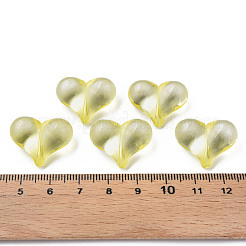 Transparent Acrylic Beads&nbsp;MACR-S373-70-B03